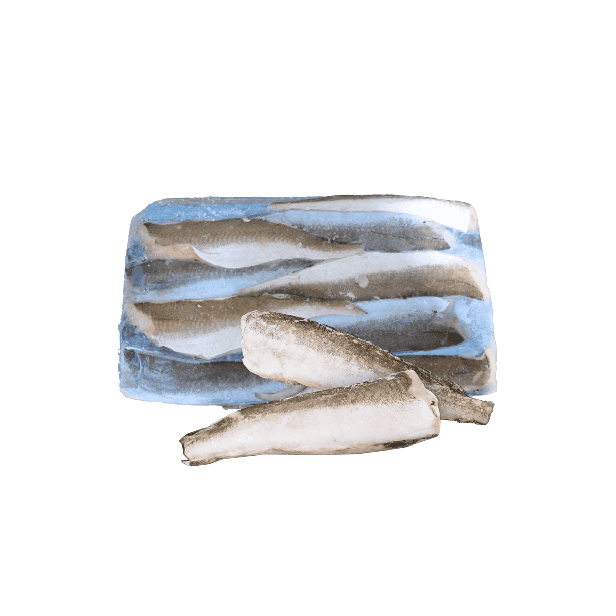 Whiting (Fish)