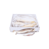Croaker (Fish)